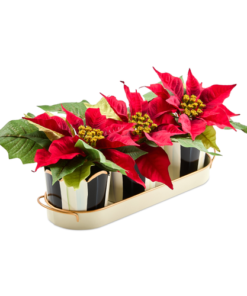 Mackenzie-Childs - Courtly Stripe Poinsettia Triple Potted Blooms