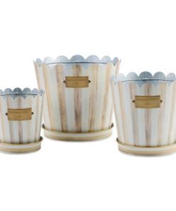 Mackenzie-Child's - Mocha Stripe Pots & Saucers, Set Of 3