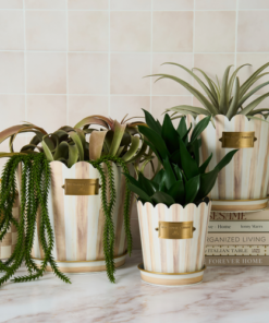 MacKenzie-Childs – Mocha Stripe Pots & Saucers, Set Of 3 - Image 2